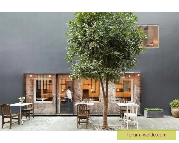 以英国奥尔德姆城市发展与文化特色为核心的全面解析